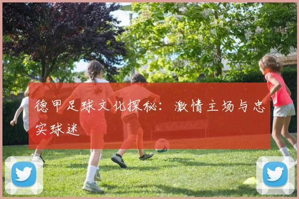 德甲足球文化探秘:激情主场与忠实球迷