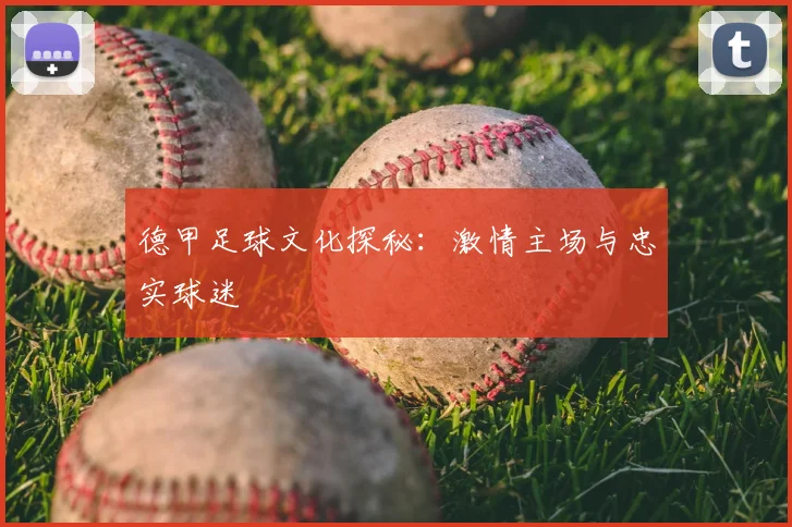 德甲足球文化探秘:激情主场与忠实球迷